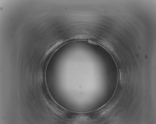 X0000062870348200601201800