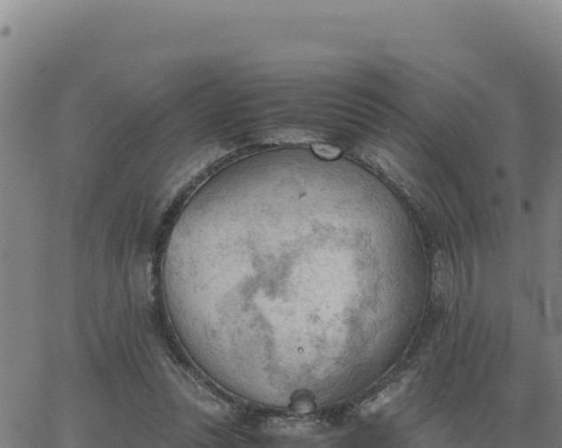 X0000062870351200601201800