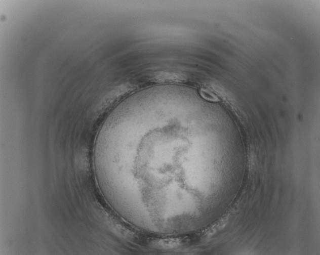 X0000062870353200601201800