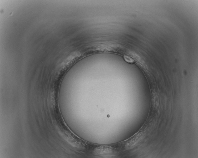 X0000062870354200601201800