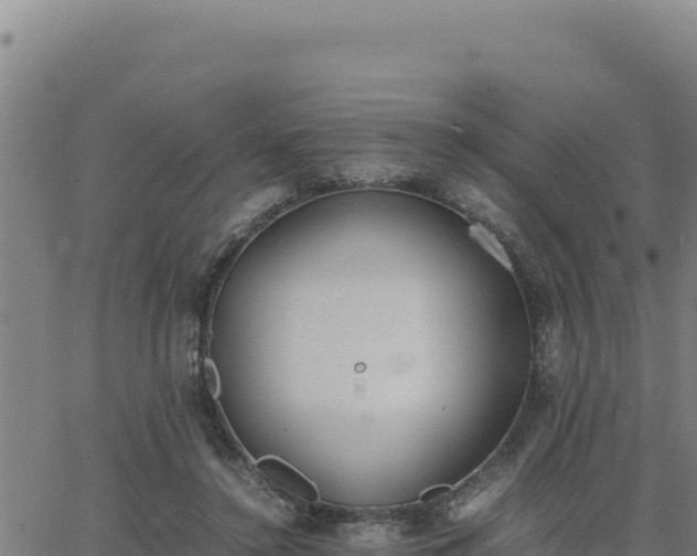 X0000062870356200601201800