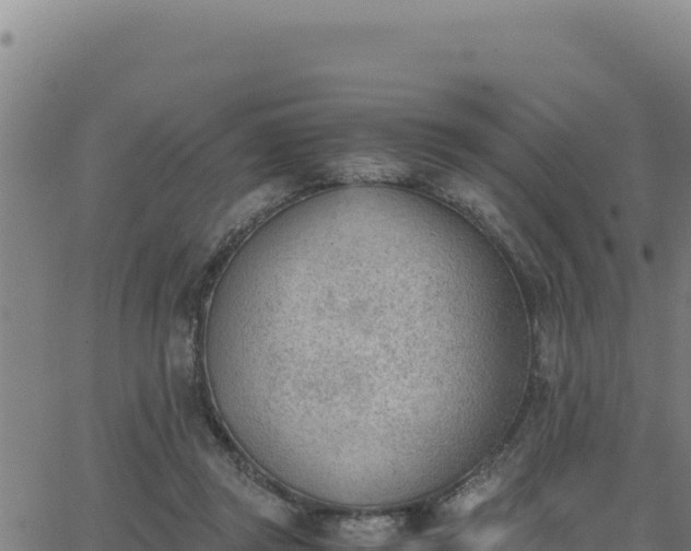 X0000062870357200601201800