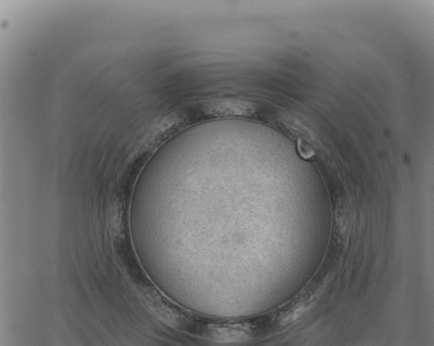 X0000062870359200601201800