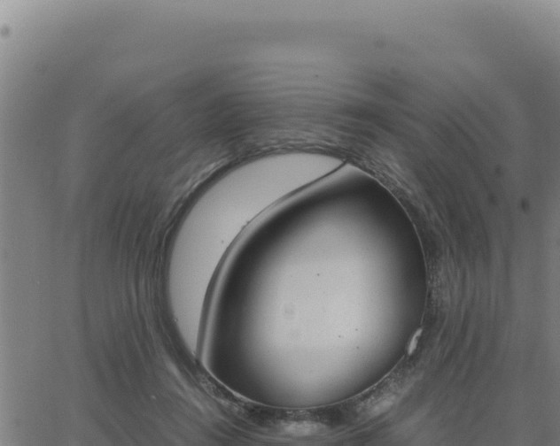 X0000062870360200601201800