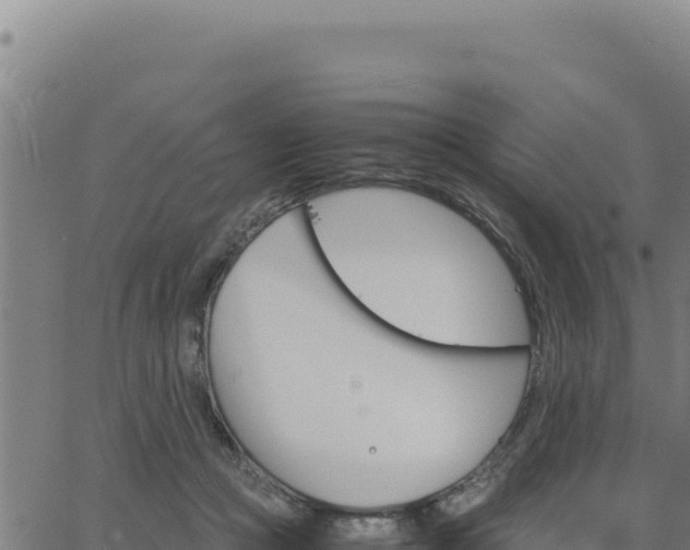 X0000062870361200601201800