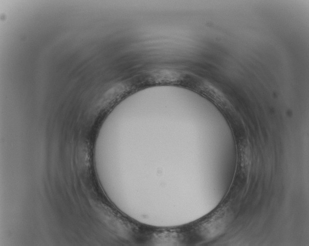 X0000062870362200601201800