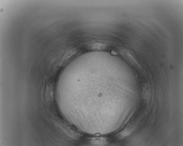 X0000062870363200601201800