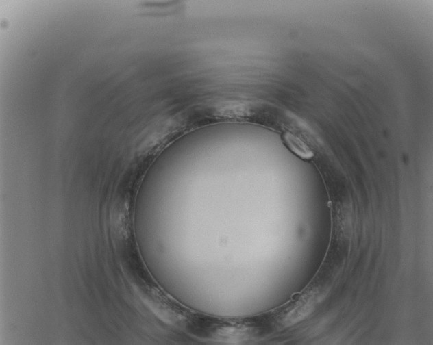 X0000062870364200601201800