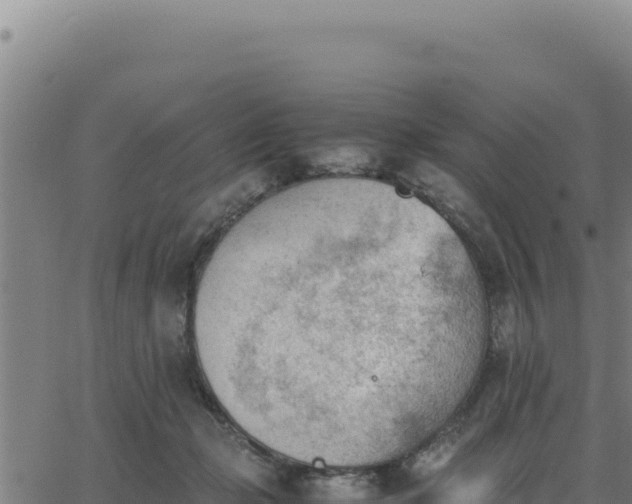 X0000062870365200601201800