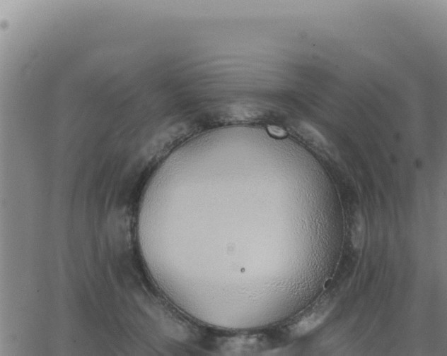 X0000062870366200601201800