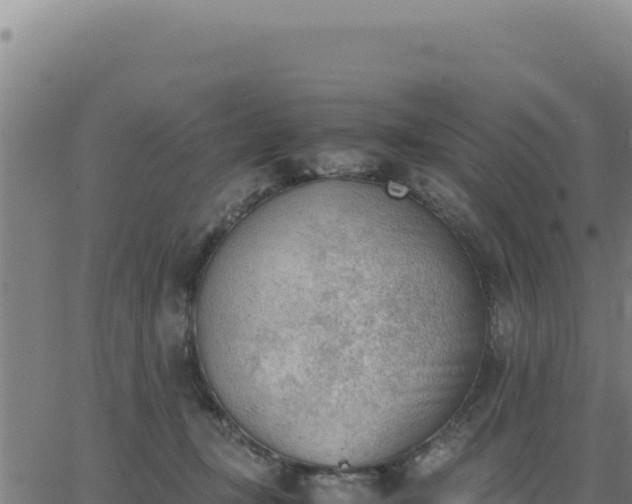 X0000062870367200601201800