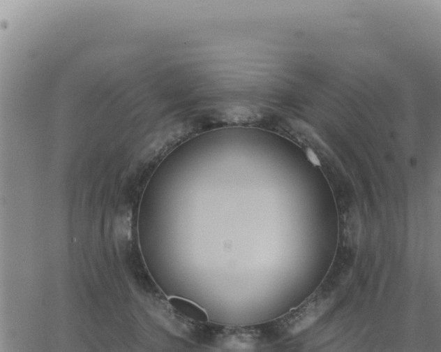 X0000062870368200601201800