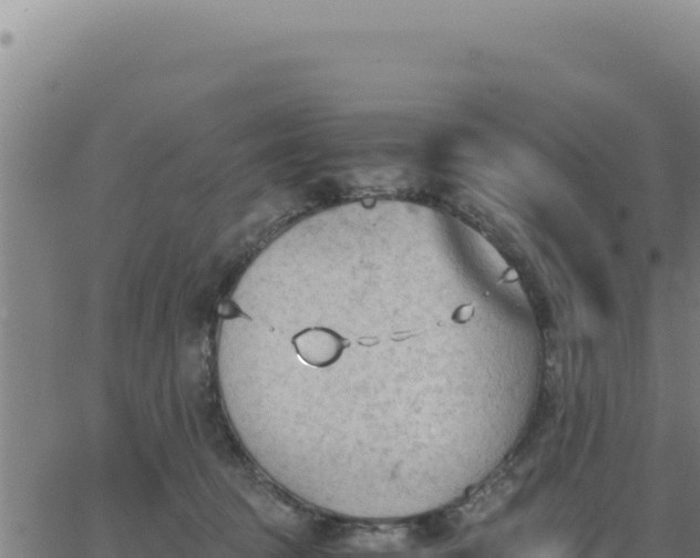 X0000062870369200601201800