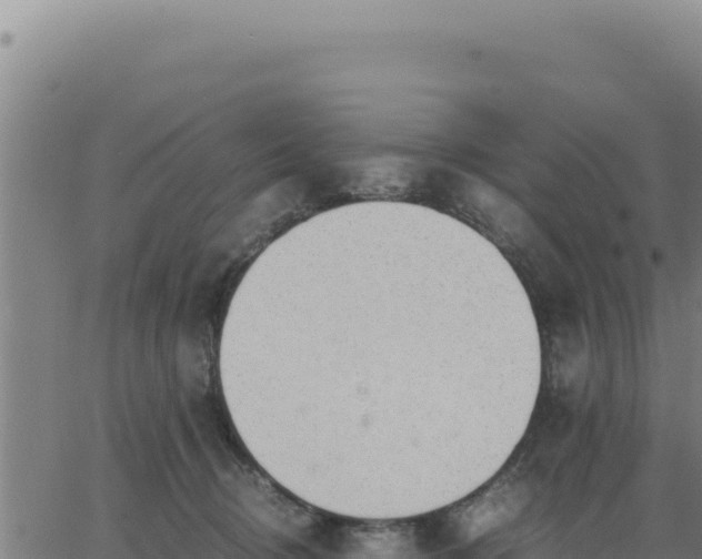 X0000062870370200601201800