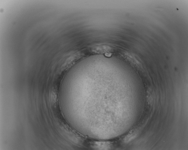 X0000062870371200601201800