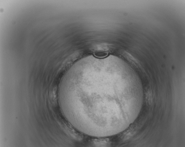 X0000062870373200601201800