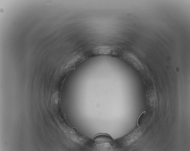 X0000062870374200601201800