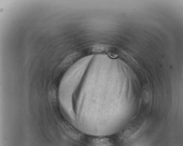 X0000062870375200601201800