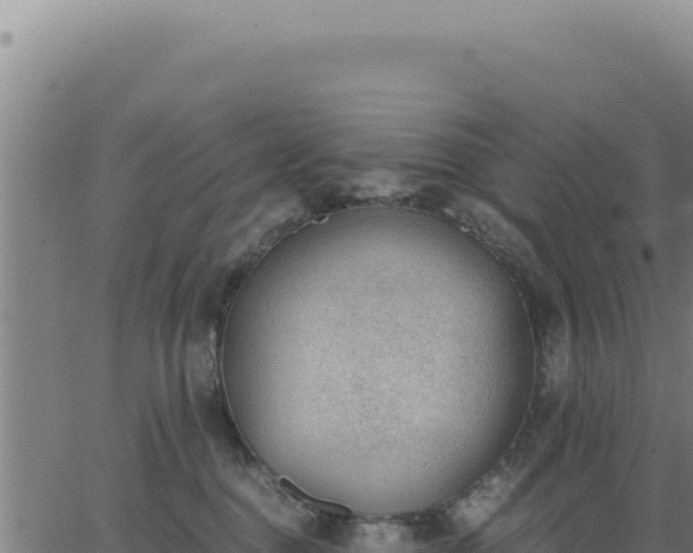 X0000062870376200601201800