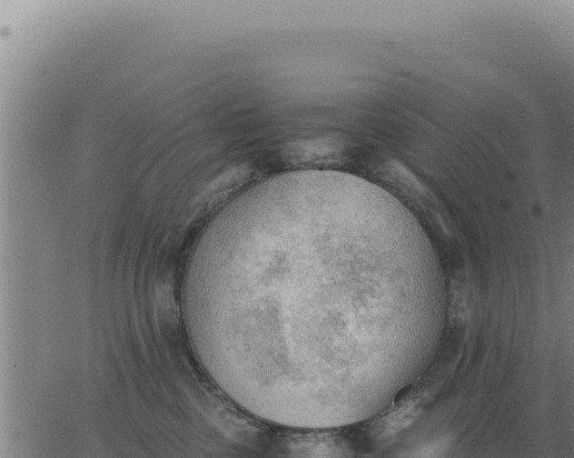 X0000062870377200601201800