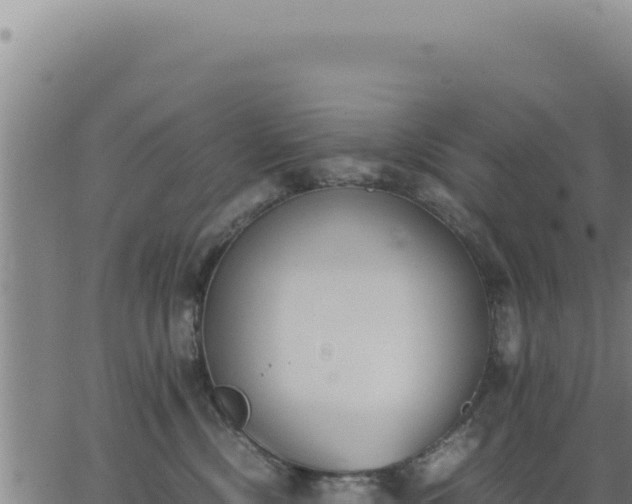 X0000062870378200601201800