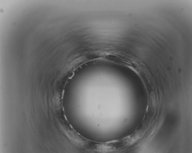 X0000062870380200601201800