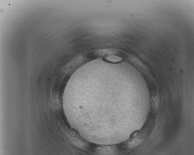 X0000062870381200601201800