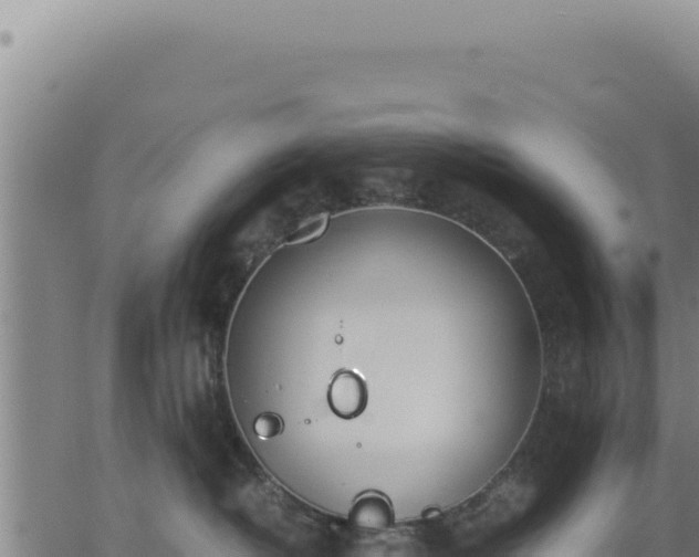 X0000062870382200601201800