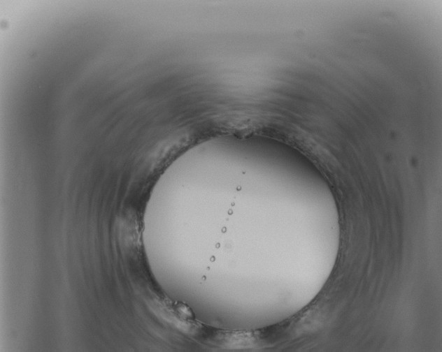 X0000062870384200601201800