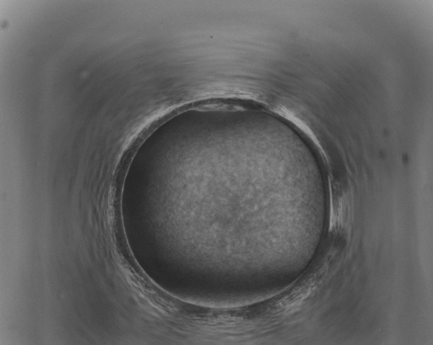 X0000062870387200601201800