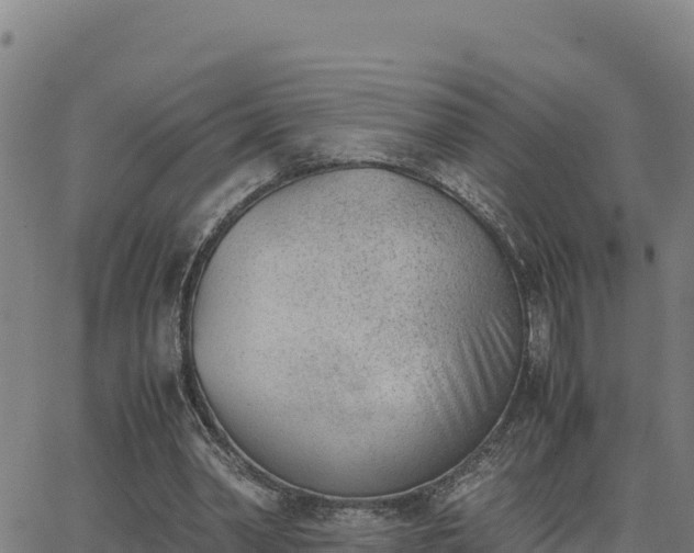 X0000062870390200601201759