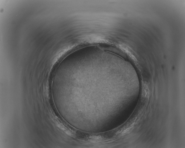 X0000062870391200601201759