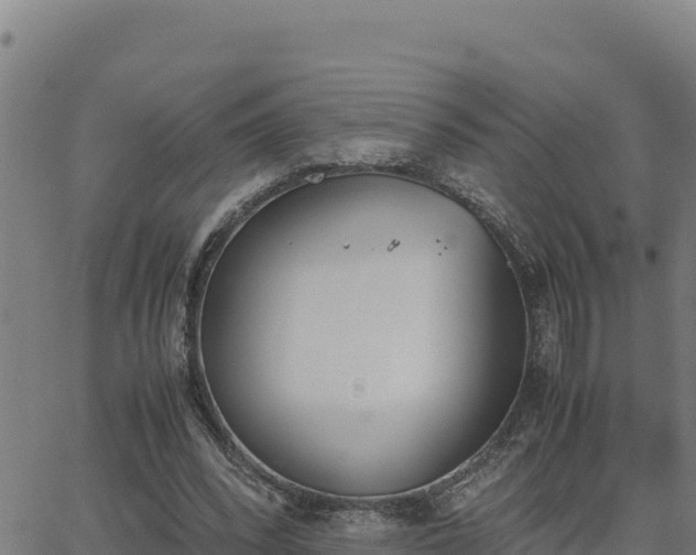 X0000062870392200601201759