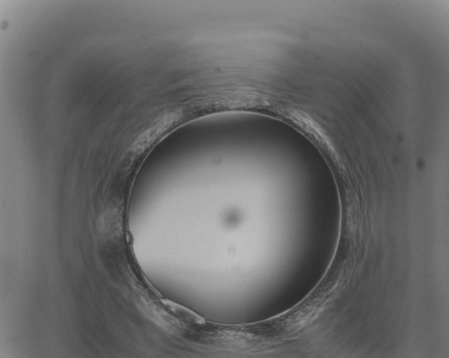 X0000062870393200601201759