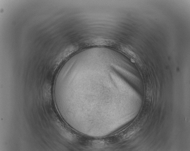 X0000062870394200601201759