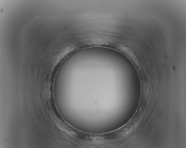 X0000062870395200601201759