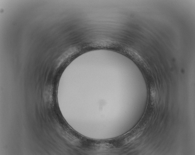 X0000062870396200601201759