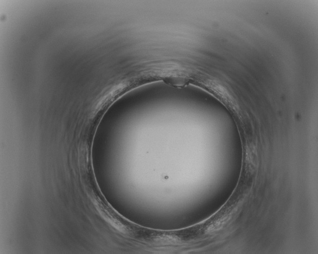 X0000062870397200601201759