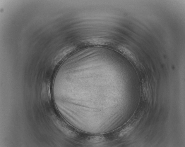 X0000062870398200601201759