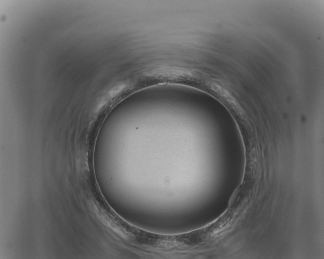 X0000062870399200601201759