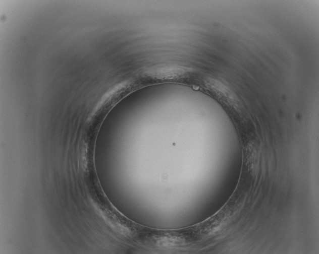 X0000062870400200601201759