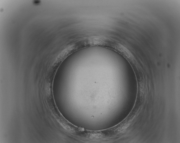 X0000062870401200601201759