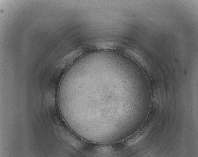 X0000062870402200601201759