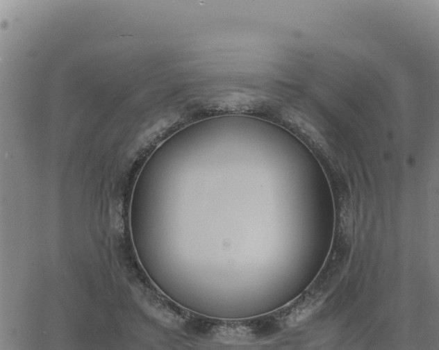 X0000062870403200601201759