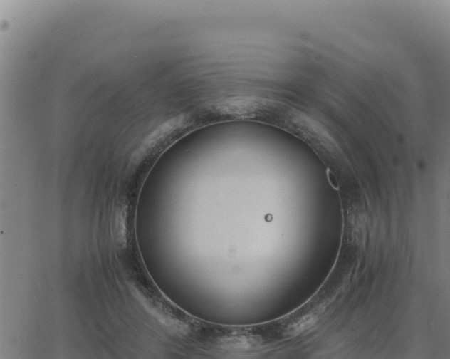 X0000062870404200601201759