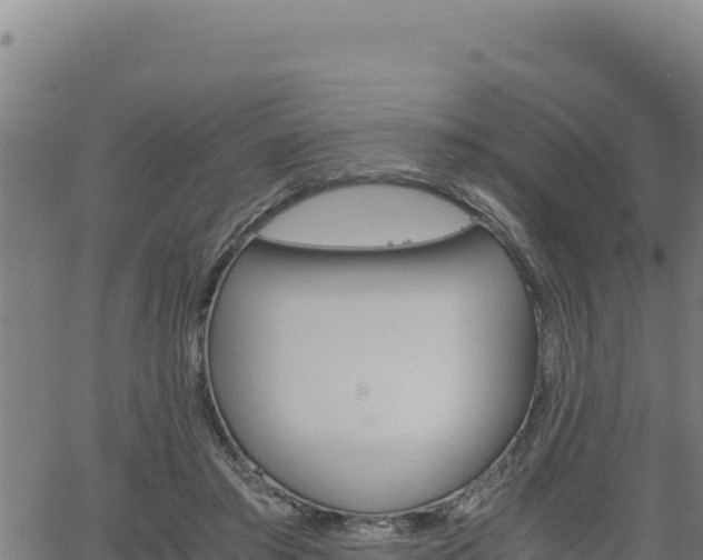 X0000062870405200601201759