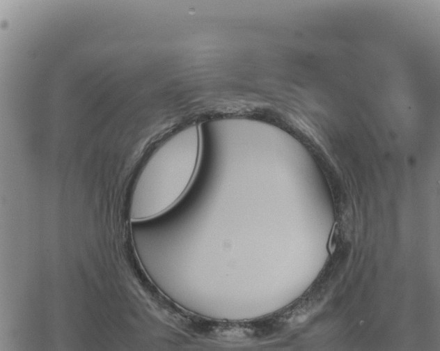 X0000062870407200601201759