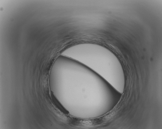 X0000062870409200601201759