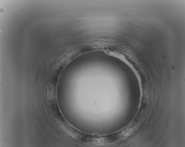 X0000062870411200601201759