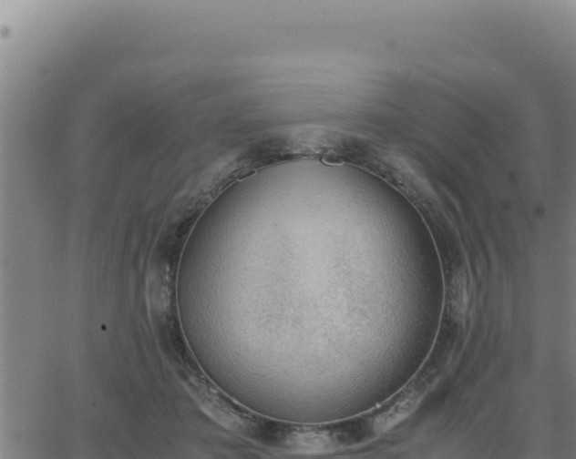 X0000062870413200601201759